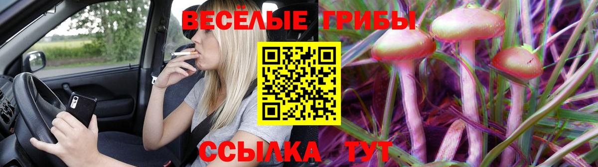 Анапа  Галлюциногенные грибы Cubensis  Галлюциногенные грибы Cubensis  Вход с VPN 